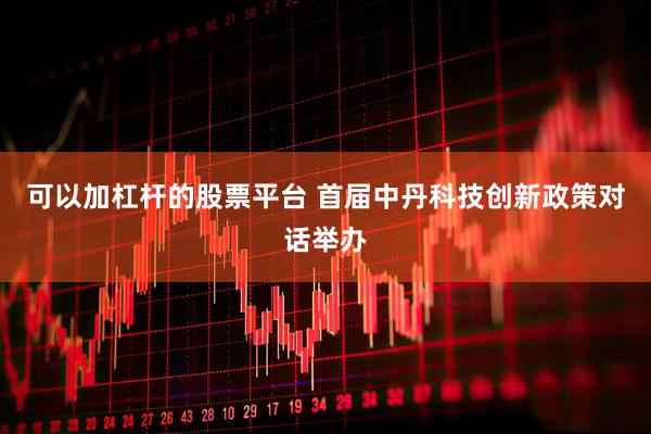 可以加杠杆的股票平台 首届中丹科技创新政策对话举办